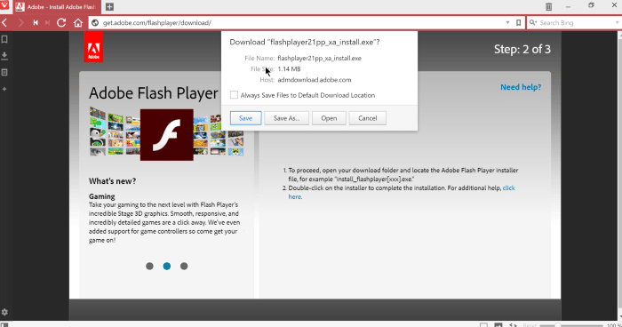 Installez Adobe Flash Playre dans le navigateur Vivaldi step7