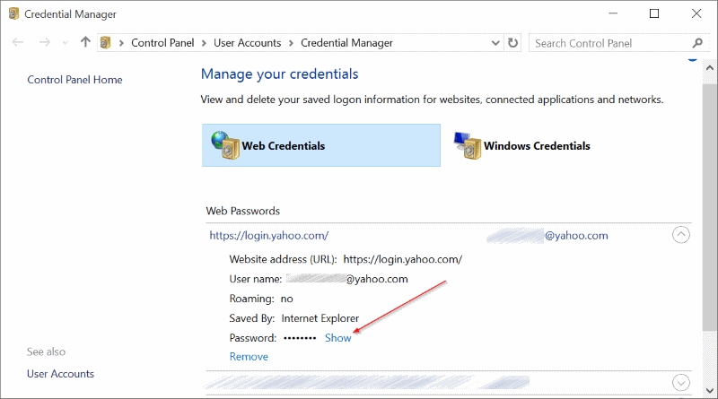 Afficher les mots de passe enregistrés dans le navigateur Edge dans Windows 10 pic3